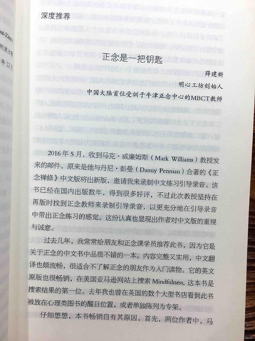 正念禅修：在喧嚣的世界中获取安宁《情商》作者丹尼尔戈尔曼 胡因梦倾情推荐正念减压疗法书籍身心灵读物 禅修 商品图4