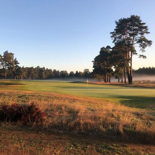 汉克利高尔夫俱乐部 Hankley Common Golf Club | 伦敦高尔夫 | 英格兰高尔夫 | 英国高尔夫球场俱乐部 | 欧洲高尔夫 商品图2