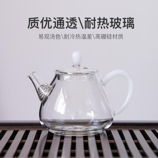 永利汇 泡茶壶小号功夫茶壶玻璃单壶过滤茶具家用一人用单人日式 商品图2