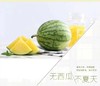 金山小皇冠 商品缩略图1