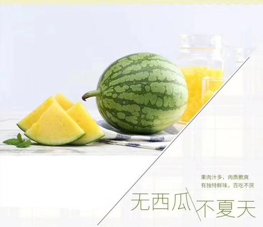 金山小皇冠 商品图1