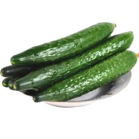 黄瓜/500克
