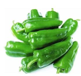 薄皮青椒/500克