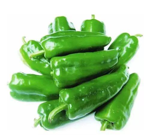 薄皮青椒/500克 商品图0