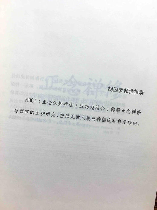 正念禅修：在喧嚣的世界中获取安宁《情商》作者丹尼尔戈尔曼 胡因梦倾情推荐正念减压疗法书籍身心灵读物 禅修 商品图1