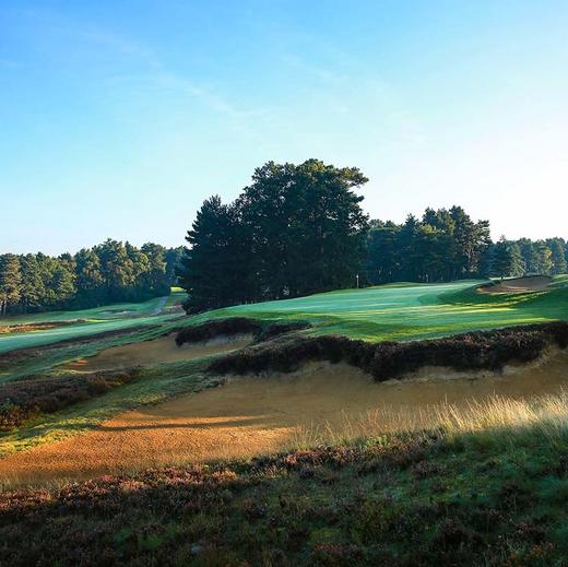 英格兰伯克希尔高尔夫俱乐部（红场） The Berkshire Golf Club(Red)| 英国高尔夫球场 俱乐部 | 欧洲高尔夫 商品图3