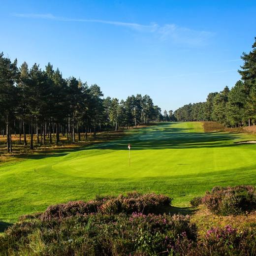 英格兰伯克希尔高尔夫俱乐部（红场） The Berkshire Golf Club(Red)| 英国高尔夫球场 俱乐部 | 欧洲高尔夫 商品图1
