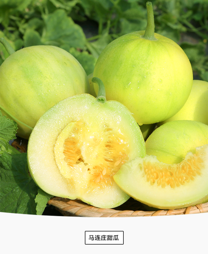 马连庄甜瓜皮薄肉甜一口下去清甜爆汁