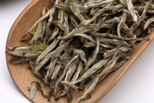 丰聘号·晒鸿雪 白毫银针（特级） 商品图11