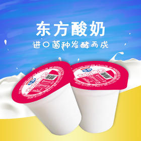 【热卖】东方普通酸奶140g*20