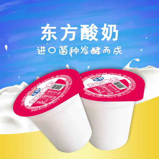 【今日秒杀】东方普通酸奶140g*20 商品图0