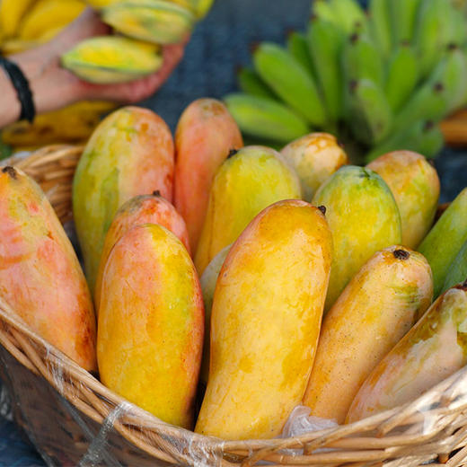 拍5件共发5斤包邮泰国释迦摩尼芒果新鲜水果进口应季香甜大芒果