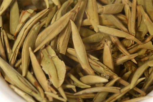 丰聘号·晒鸿雪 白毫银针（特级） 商品图13