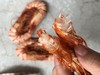 九节虾干 即食野生海虾 无添加 天然晾晒  短期冷藏保存 商品缩略图5