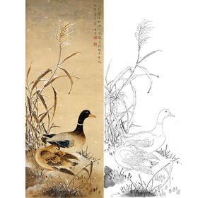 陈之佛竖幅工笔花鸟白描底稿《雪凫》-多种白描尺寸可选-QA80