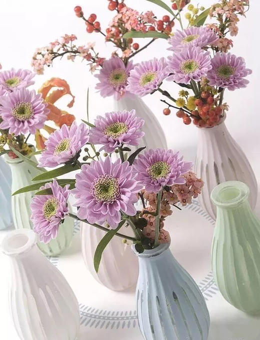 粉紫色小雏菊5枝一扎 商品图0