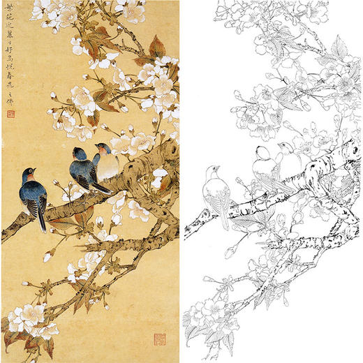 陈之佛工笔花鸟白描底稿-qa83