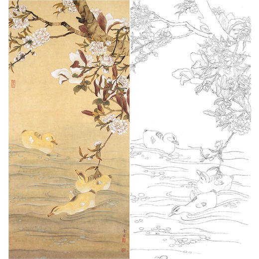 陈之佛工笔花鸟白描底稿-qa65