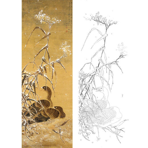 陈之佛工笔花鸟白描底稿雪雁多种白描尺寸可选qa82