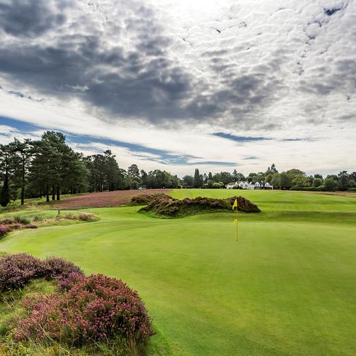 欣德黑德高尔夫俱乐部 Hindhead Golf Club | 伦敦高尔夫  | 英格兰高尔夫 | 英国高尔夫球场俱乐部 | 欧洲高尔夫 商品图2