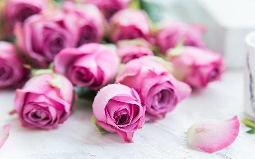 冷美人玫瑰10枝一扎 商品图1