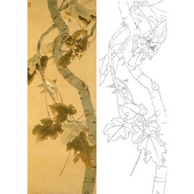 陈之佛竖幅工笔花鸟白描底稿《桐阴哺雏》-多种白描尺寸可选-QA79