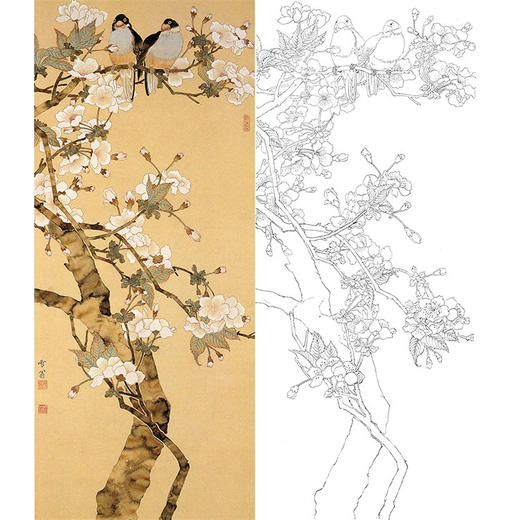 陈之佛竖幅工笔花鸟白描底稿樱花小鸟qa84