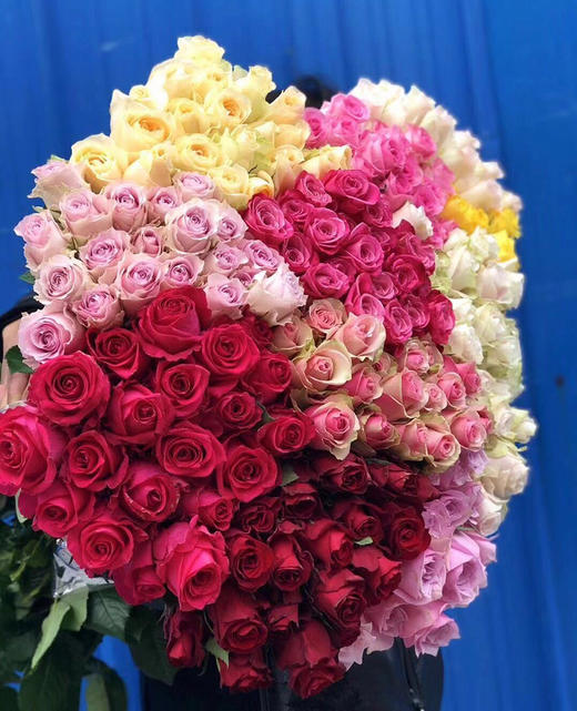 混搭玫瑰10枝一扎 商品图0