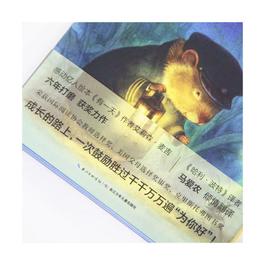 心喜阅文学馆：萤火谷的梦想家 商品图2