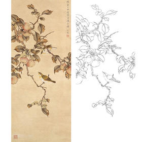 陈之佛竖幅工笔花鸟白描底稿《海棠绣眼》-多种白描尺寸可选-QA68