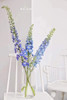 蓝色大飞燕5枝一扎 商品缩略图0