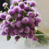 浅紫色千日红若干枝一扎 商品缩略图0