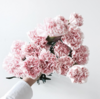 樱花粉 康乃馨10枝一扎 商品缩略图0