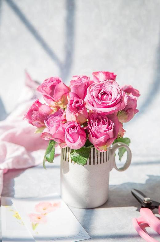 冷美人玫瑰10枝一扎 商品图0