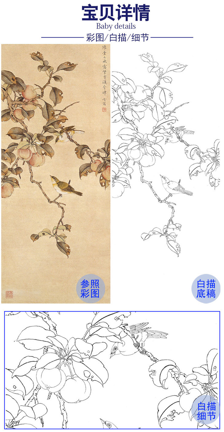陈之佛竖幅工笔花鸟白描底稿海棠绣眼多种白描尺寸可选qa68