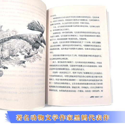 黑鹤动物文学精品系列·狼獾河（新版）物文学作家格日勒其木格·黑鹤代表作品 插画家九儿绘制封面美图 曹文轩推荐 商品图3