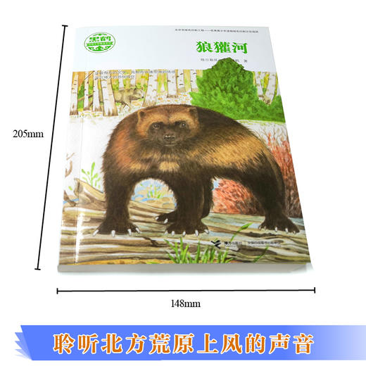 黑鹤动物文学精品系列·狼獾河（新版）物文学作家格日勒其木格·黑鹤代表作品 插画家九儿绘制封面美图 曹文轩推荐 商品图1