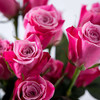 泰姬玫瑰10枝一扎 商品缩略图0