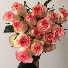 爱莎玫瑰10枝一扎