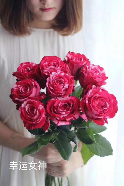 自由女神玫瑰10枝一扎 商品图0