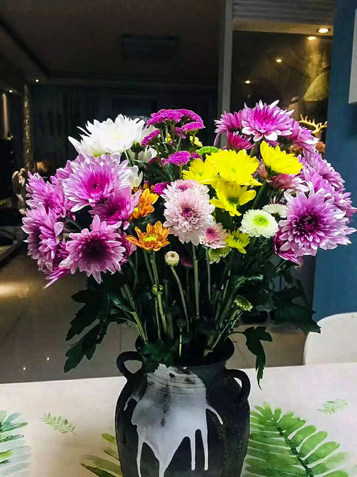 混色小雏菊5枝一扎 商品图4