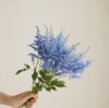 蓝色落新妇5枝一扎 商品缩略图0