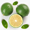云南塔希提无籽香水青柠檬 商品缩略图5