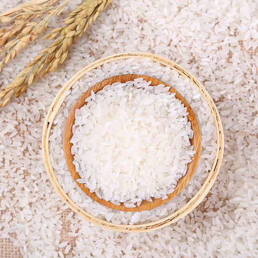 【稻行深长粒香】东北黑土种植 当季鲜米 5kg 包邮|亲邻优选