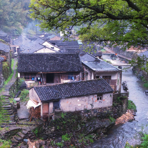 徒步千年竹海古道，探访余姚的‘小丽江’古村落（上海1日线） 商品图3