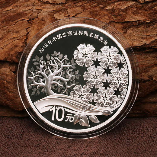 2019年中国北京世界园艺博览会30克银币 商品图1