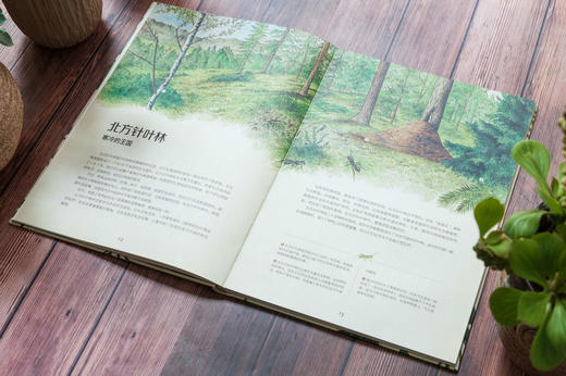 【紫图图书】动物博物馆+植物博物馆（套装共2册） 商品图3