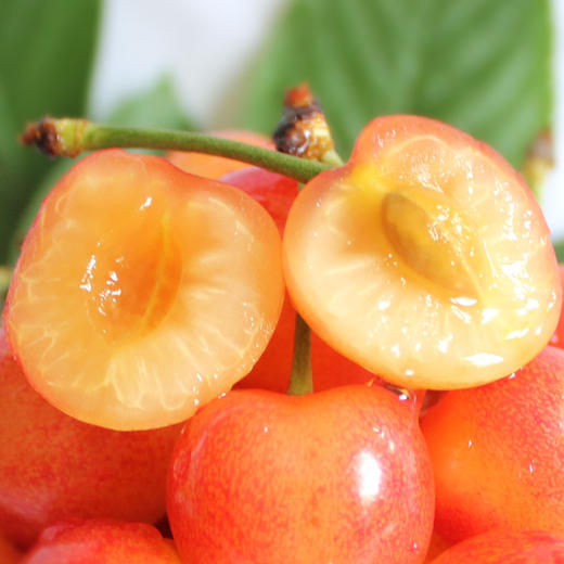 烟台黄水晶小樱桃2斤装顺丰空运