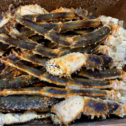 智利进口帝王蟹脚10kg件