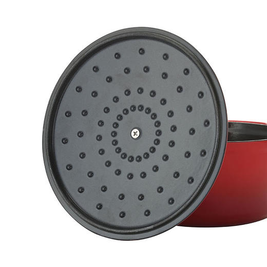 SA-P010 双立人铸铁锅(20厘米红色） 商品图8